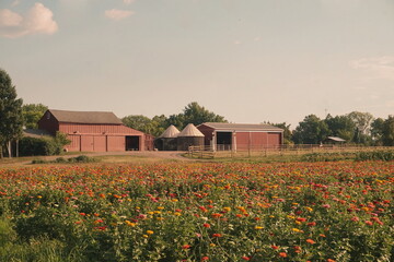 Farm Landscape, Red Barns, Zinnia Fields, Sky