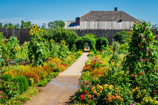 Botanical garden with a variety of flowers and plants, a footpath down the center, wooden back fence and blue sky.