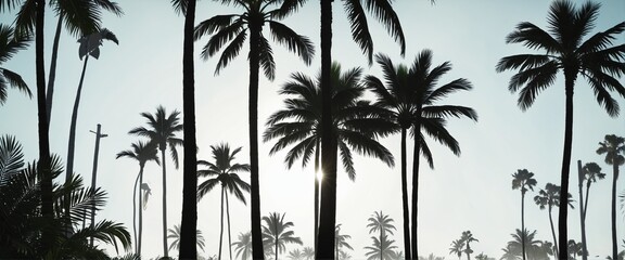 Tropical Oasis Promotion: Lush Palm Tree Silhouettes