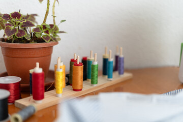 Close-up of colorful thread spools organized on a sewing table next to a potted plant. Concept of sewing.