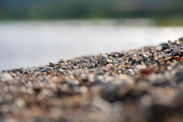 Round brounded rocks on a beach.