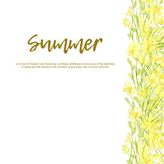 Flowers yellow small wildflowers, frame border right with text watercolor illustration. Summer meadow with floral print and wildflowers. Isolated from the background. For designing cards, invitations