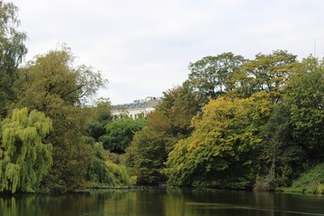 lake in the park