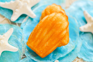 Madeleine cookies set and nautical decor.Madeleine biscuit cookies on blue mother of pearl and white starfish. sweet French dessert in a summer nautical design.Sweet pastries from French cuisine. 