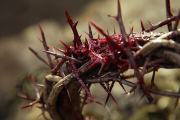 Obraz premium A close-up shot of a thorny plant with blood on its leaves and stem