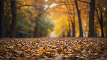 Autumn landscape nature scene with fall tree leaves in autumnal colors