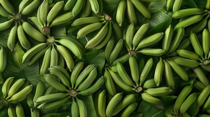 Obraz premium Seamless pattern background of fresh green banana fruit