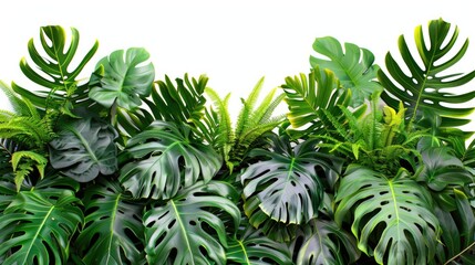 Fototapeta premium A group of green plants with leaves, suitable for use in nature and outdoors related contexts