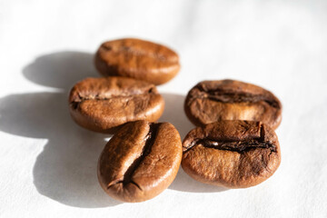 Special gourmet Brazilian coffee type Mogiana roasted in beans.