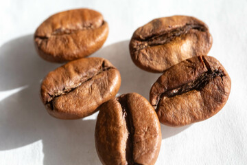 Special gourmet Brazilian coffee type Mogiana roasted in beans.