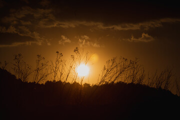 Naturaleza frente a un atardecer