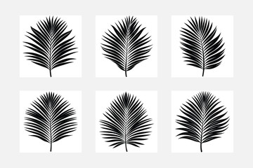 exotic  Pam tree leaves black shapes vector set