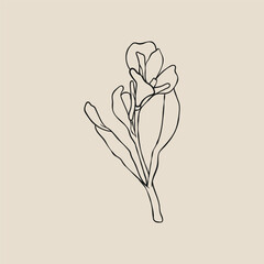Elegant, botanique logo , hand drawn illustrations of flowers, leaves and twig, delicate and minimal monogram design