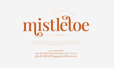 Mistletoe premium luxury elegant alphabet letters and numbers. Vintage wedding typography classic serif font decorative vintage retro. creative vector illustration