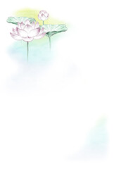 蓮の墨彩画の喪中欠礼はがき 背景素材 カラー(はがきサイズ)