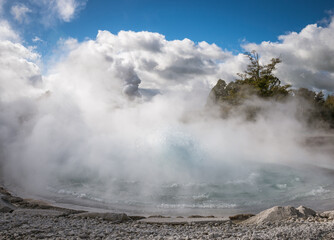 Wairakei Terraces Geothermal Gyser