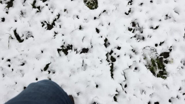 Mann geht auf einer verschneiten Wiese,