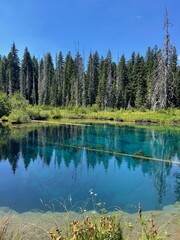 Oregon Lake