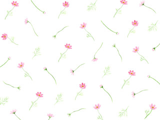 水彩で描いたコスモスの花柄