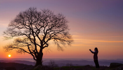 Fototapeta premium A dramatic silhouette of trees stands etched against the blazing colors of a sunset.