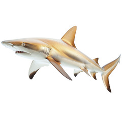 Fototapeta premium Sandbar Shark Isolated on Transparent or White Background, PNG