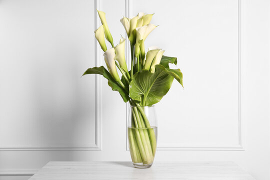 Beautiful calla lily flowers in vase on table - Powered by Adobe