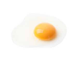 One fresh raw egg isolated on white