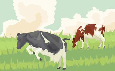 Dairy cows are grazing in a green pasture