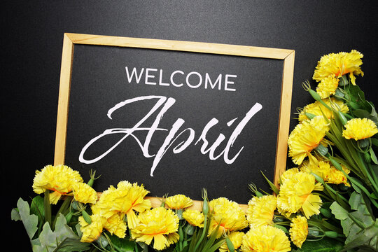 Welcome April text on chalkboard with yellow flowers decoration top view on black background