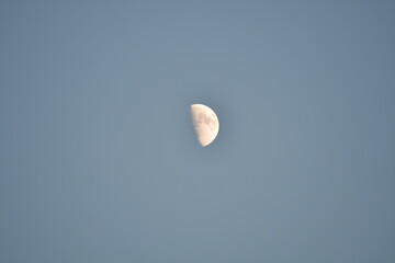 Moon