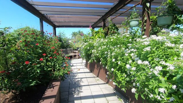 Peace River Botanical & Sculpture Gardens - Punta Gorda, Florida, USA