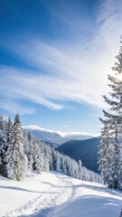 Fototapeta premium snowy trees line a path in the middle of a snowy mountain