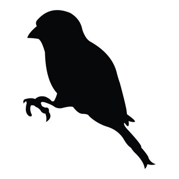 recommend clip art: sparrow vector silhouette design. black on a white background.
