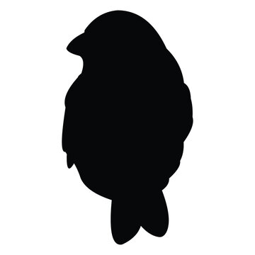 recommend clip art: sparrow vector silhouette design. black on a white background.