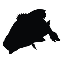 Freshwater predatory fish vector silhouette design. black on a white background.