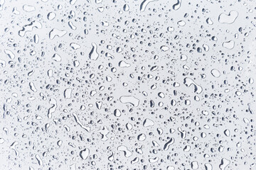 Water drops on white background, water drops pattern background