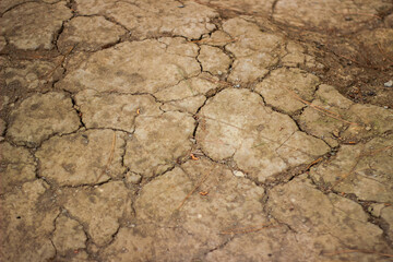 Texture cracks of dry soil
