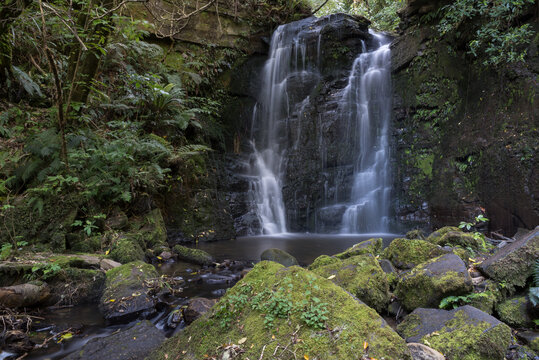 Waterfall in a forest setting, Pelorus Bridge, Marlborough, New Zealand.