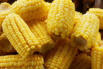 photography of close up pile of boiled corn