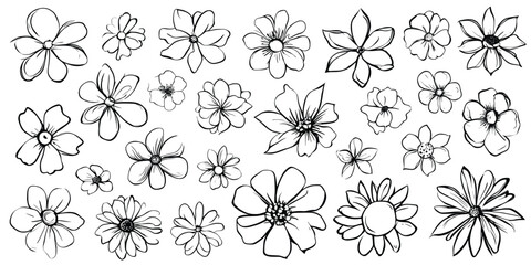 Painted flowers isolated on white background, vector design