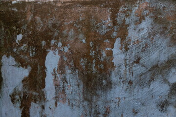 photography of dirty mossy wall background texture