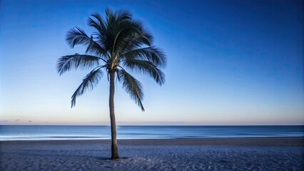 Palm tree standing tall on sandy ocean shore , tropical, beach, scenic, tranquil, vacation, paradise, relaxation, serene