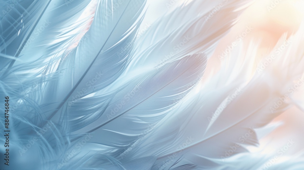 Poster a detailed close-up of delicate, soft white feathers with a gentle light, creating a serene and airy