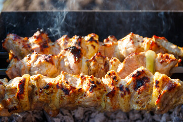 Grilled kebab cooking on metal skewer. Roasted meat cooked at barbecue.Traditional eastern dish, shish kebab. Grill on charcoal and flame, picnic, street food