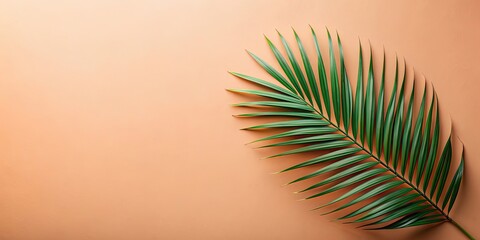 Tropical tranquility with a palm leaf on a peach background in a top-down flat lay view , palm leaf