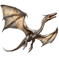 Detailed illustration of a prehistoric pterodactyl isolated on a white background, highlighting its wings and talons.