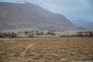 Cold desert landscape from Nubra Valley in Ladakh, India. Sand roads and dry vegetation. Scenic view of Himalayas and Ladakh ranges. Beautiful barren hills in Ladakh with dramatic clouds in background