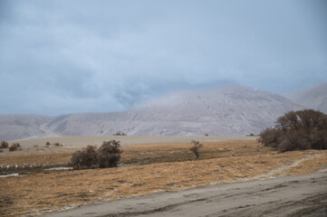 Naklejka premium Cold desert landscape from Nubra Valley in Ladakh, India. Sand roads and dry vegetation. Scenic view of Himalayas and Ladakh ranges. Beautiful barren hills in Ladakh with dramatic clouds in background