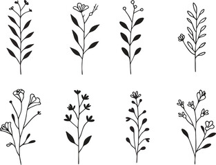 Minimalistic Botanical Element Art