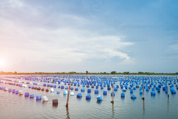 Floating buoy or Pontoons .Snail Sculpts Bubbles to make life raft on the ocean or lake. snail farm will allow you to perfectly control the environmental conditions . © sornchai
